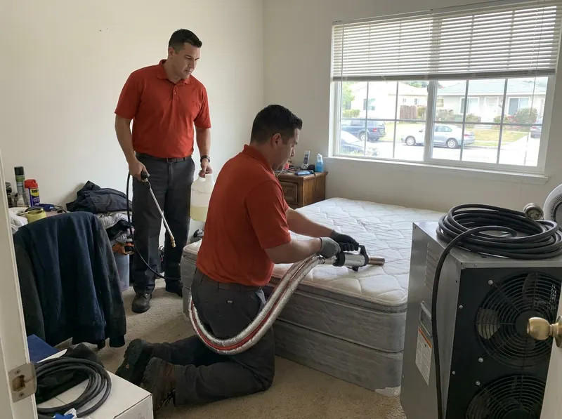 Bed Bug Thermal and Chemical Treatment in Long Beach, CA